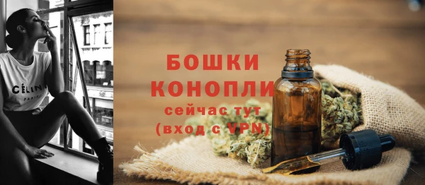 твердый Семёнов