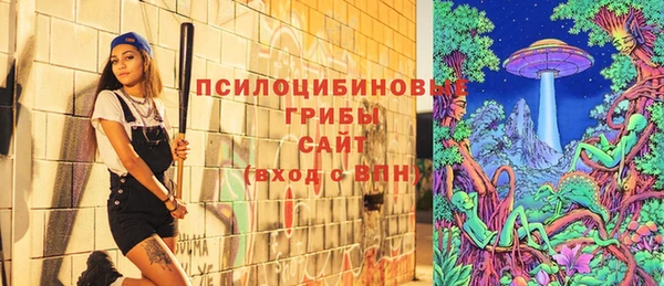 стафф Алексин