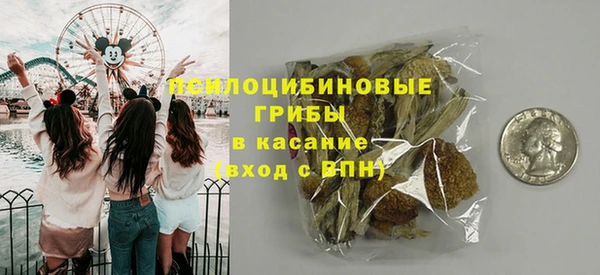 стафф Алексин