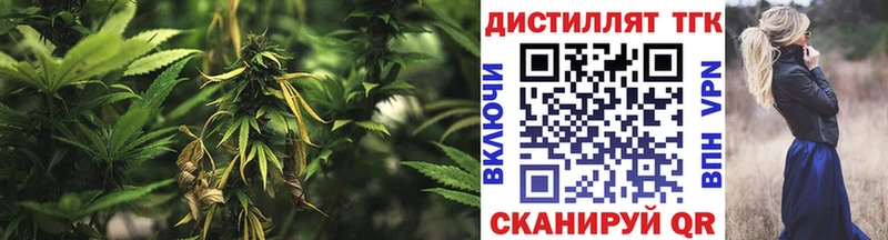 сколько стоит  Богданович  ТГК концентрат 