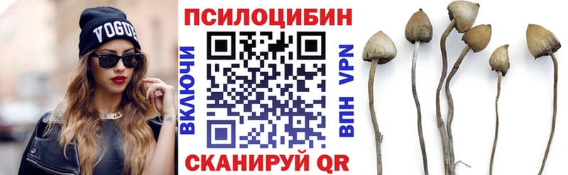 Галлюциногенные грибы MAGIC MUSHROOMS  Богданович 